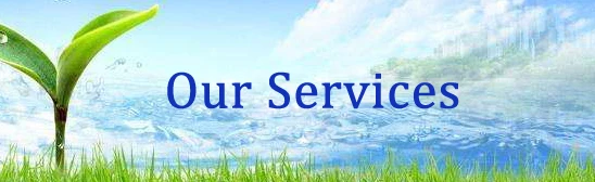 Our Services.jpg