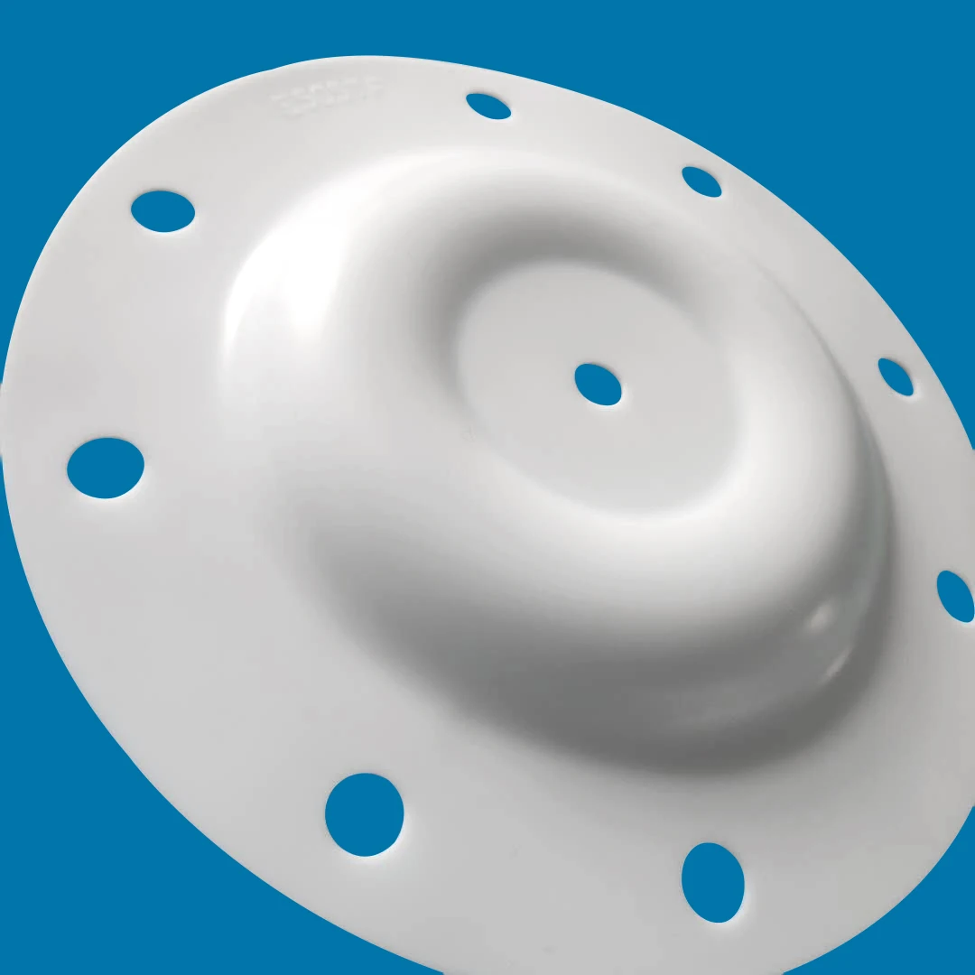 CF E505TF PTFE diaphragm details