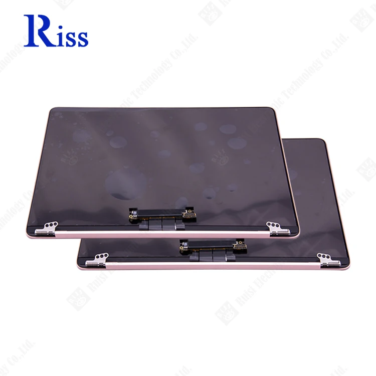 Laptop Complete Lcd Screen Assembly 