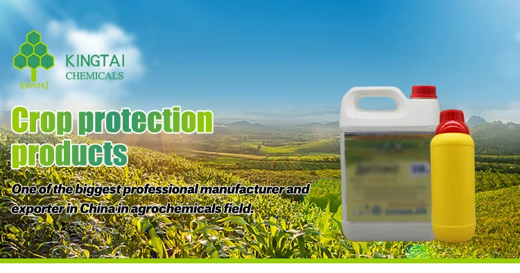 Carfentrazoneethyl Herbicide 8595tc,240g/l Ec Buy Agricultural