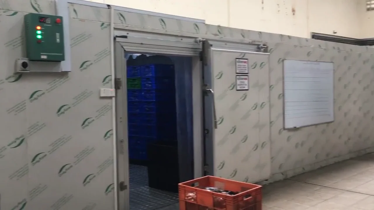 Cold Storage Room For Poultry/meat - Buy Cold Storage Room For Poultry ...