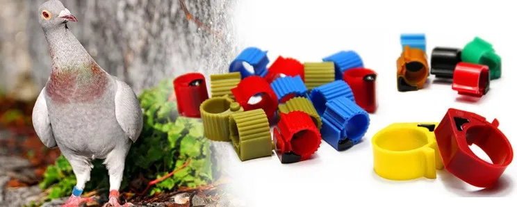 Electronical ABS Animal birds management Pigeon and Cocks ABS RFID leg ring tag