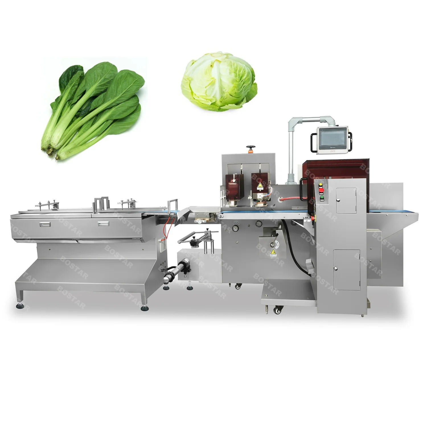 Vegetable pack. Guangdielin Packaging Machine.