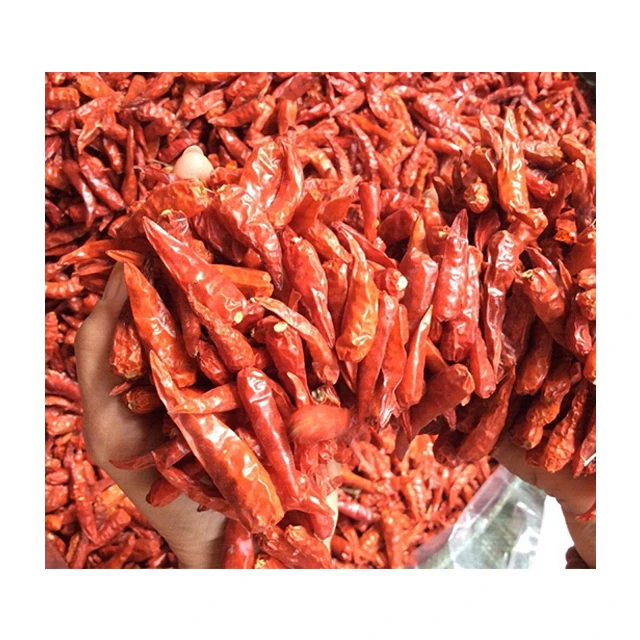 Dehydrated Chili Pepper For Spices Kitchen/ Dried Red Chilli Premium Quality For Export (Kaylin Whatsapp +84817092069)