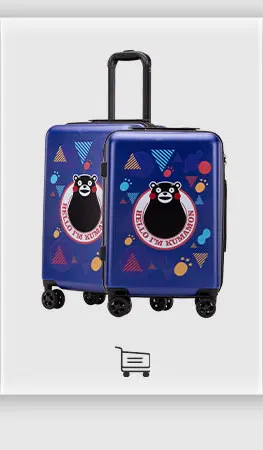 PP luggage sets
