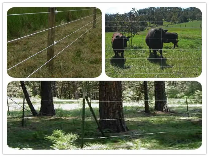 oval wire (6).jpg
