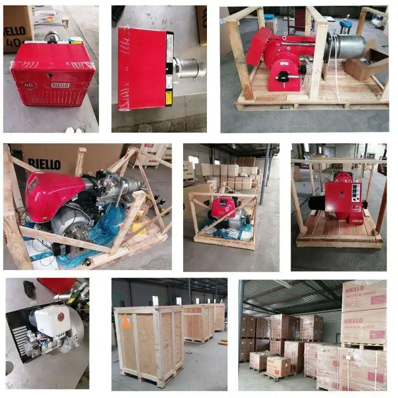 Original Riello GI/EMME 300900 series of burners covers a firing range