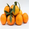 Solvent Orange 60 Eco Solvent Dye Ink For Plastic Pp Pe Photo Film /Jelly orange