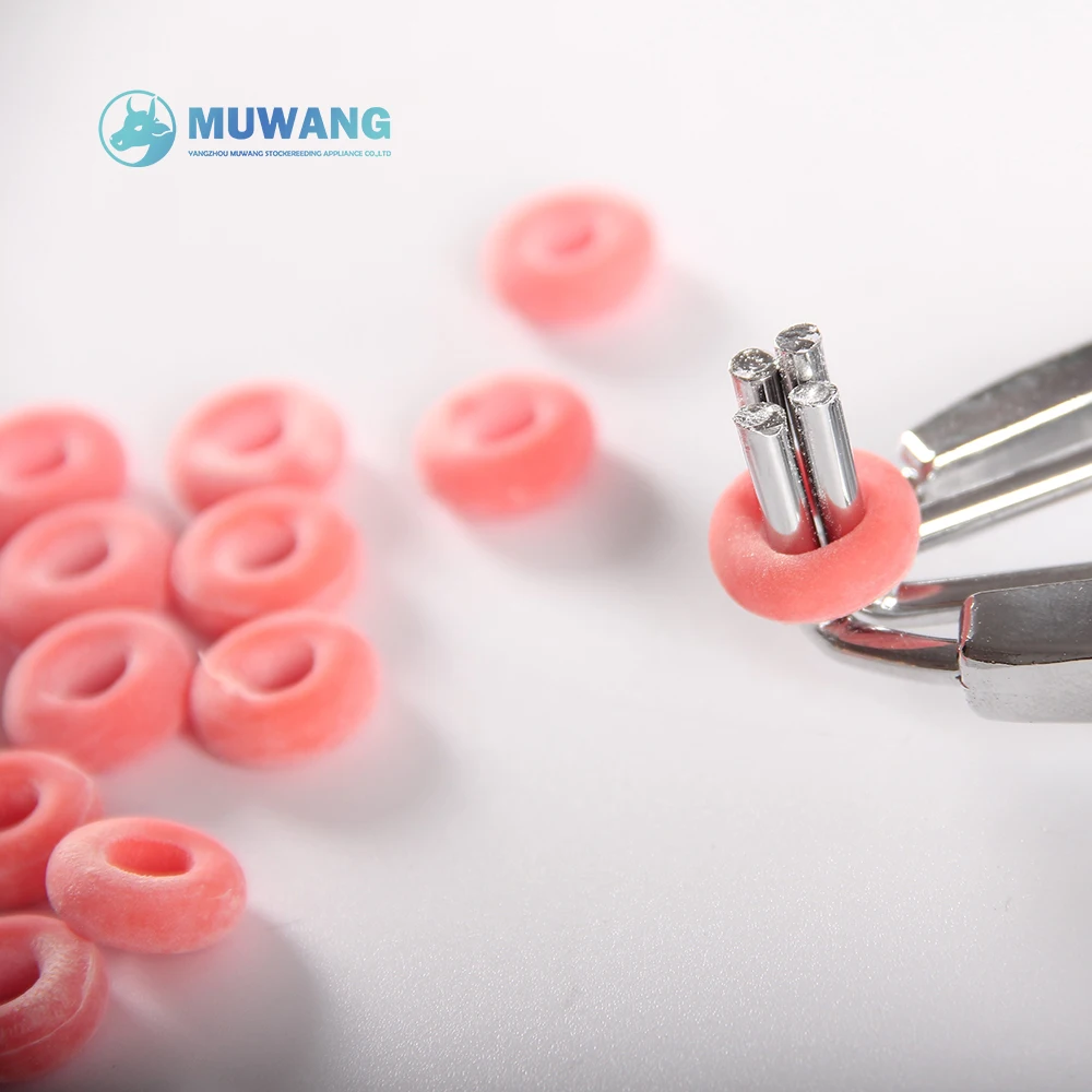 Castration Ring Elastic Band Castration Ring Rubber For Livestock Buy