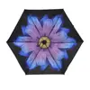 5 fold easy carry sun and rain mini fashionmini pocket folding umbrella