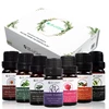 /product-detail/10ml-korean-cosmetics-pure-tea-tree-argan-oils-jojoba-cbd-oil-shea-butter-lavender-hemp-essential-oil-set-62298405636.html