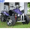 /product-detail/agy-factory-fat-three-wheels-gas-atv-250cc-eec-quad-bike-on-sale-62222561269.html