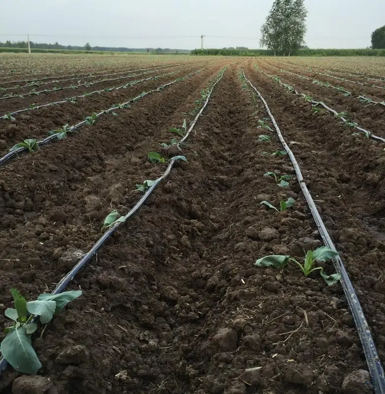 16mm System Flat Dripper Line Farm For Agriculture Drip Irrigation Tape