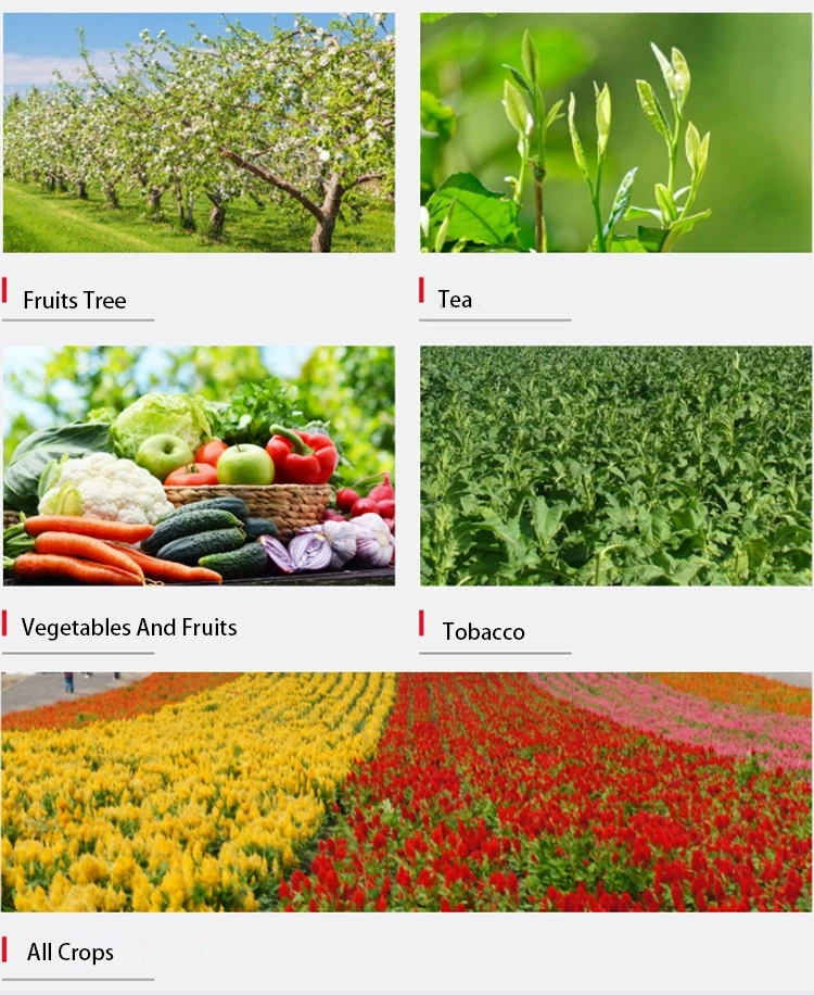 npk fertilizer 20 20 20