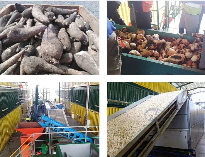 mash belt drying machine