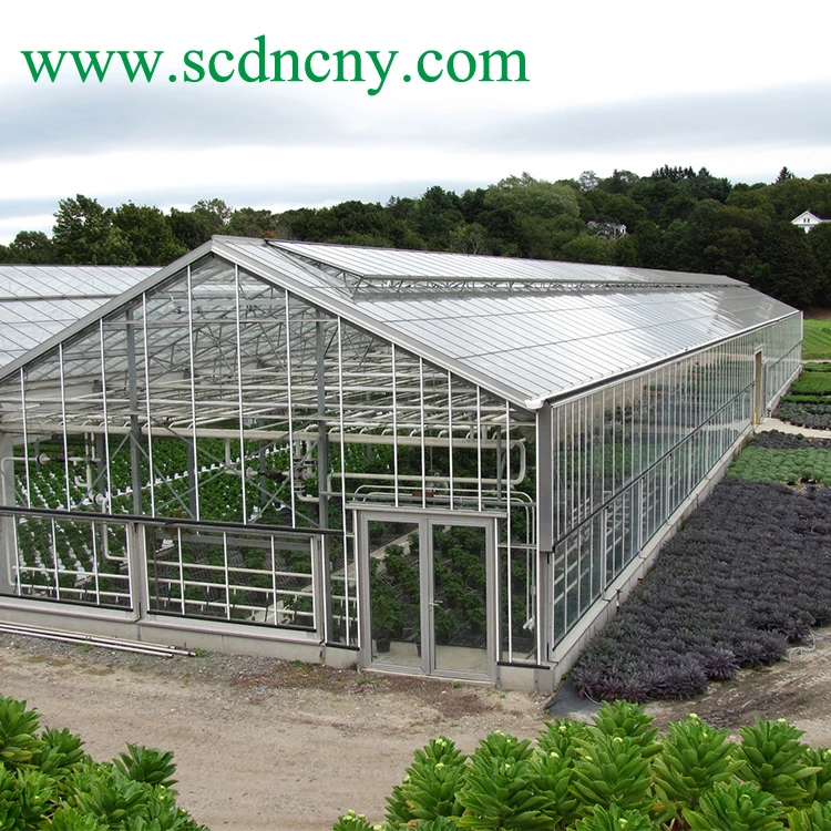 Agricultural And Commercial Multispan Glass Greenhouse Used For Sale