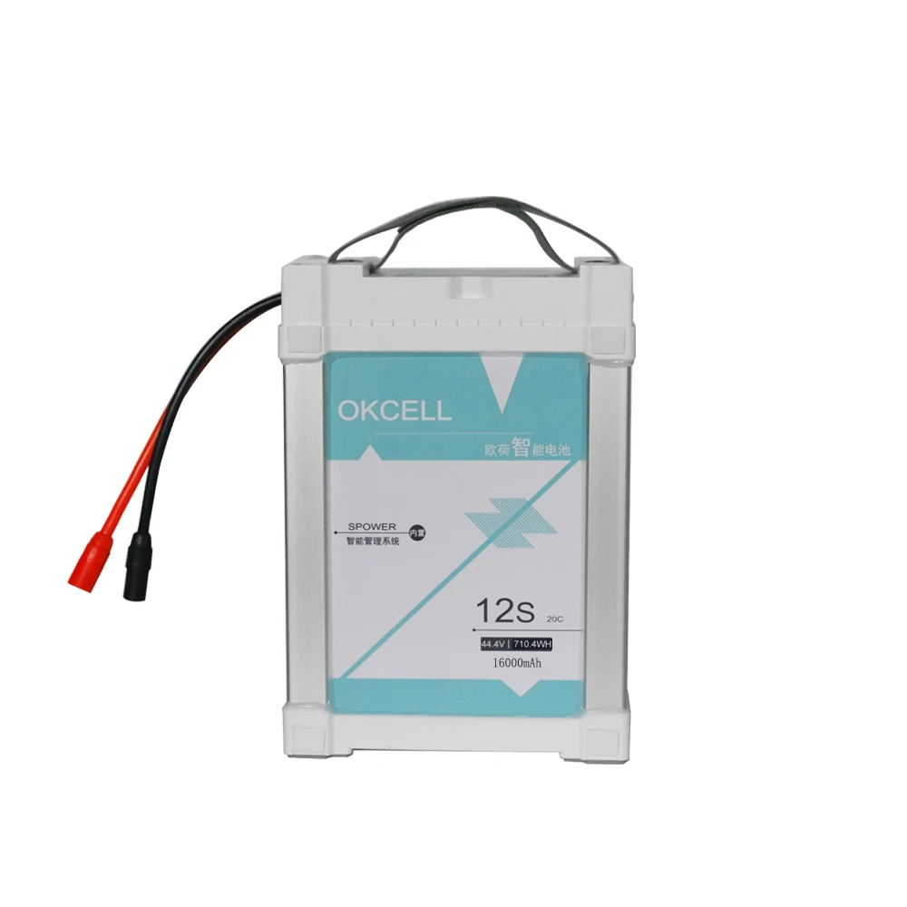 Agricultural Drone Battery.jpg