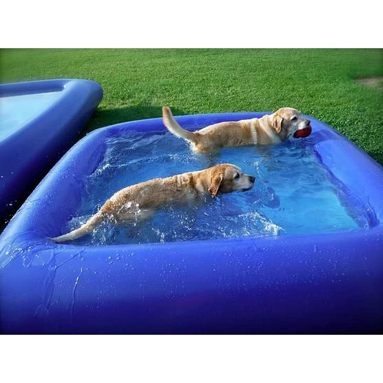 pet pools for large dogs