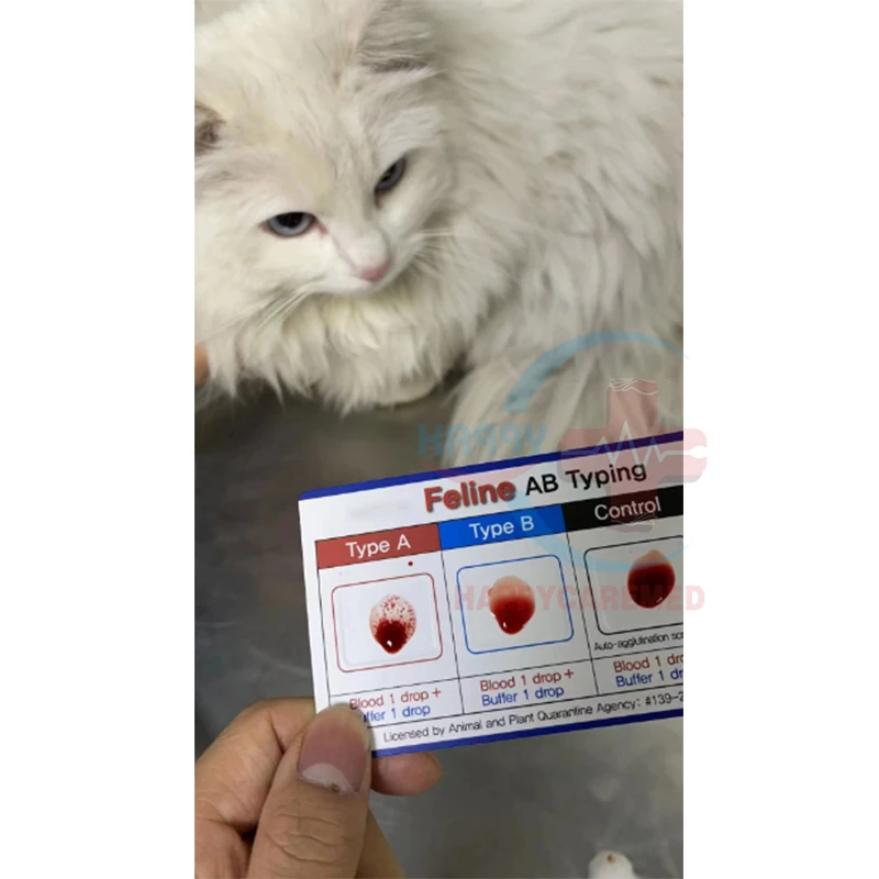 Hcr168 Cat Blood Type Test Veterinary Cat Animal Blood Type Test Kit Card Buy Cat Blood Type
