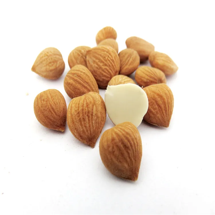 
Wild bitter almond bitter apricot kernels 