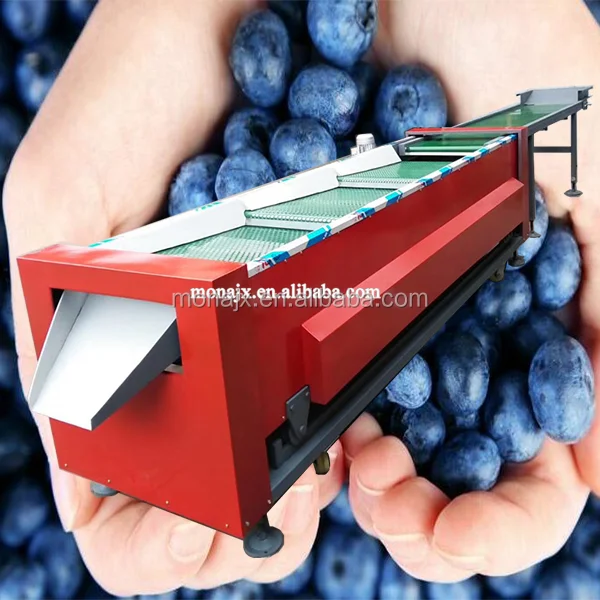 blueberry sorter (6).png