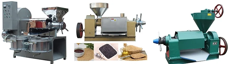 Small oil press automatic coconut olive sesame almond walnut mini oil press machine