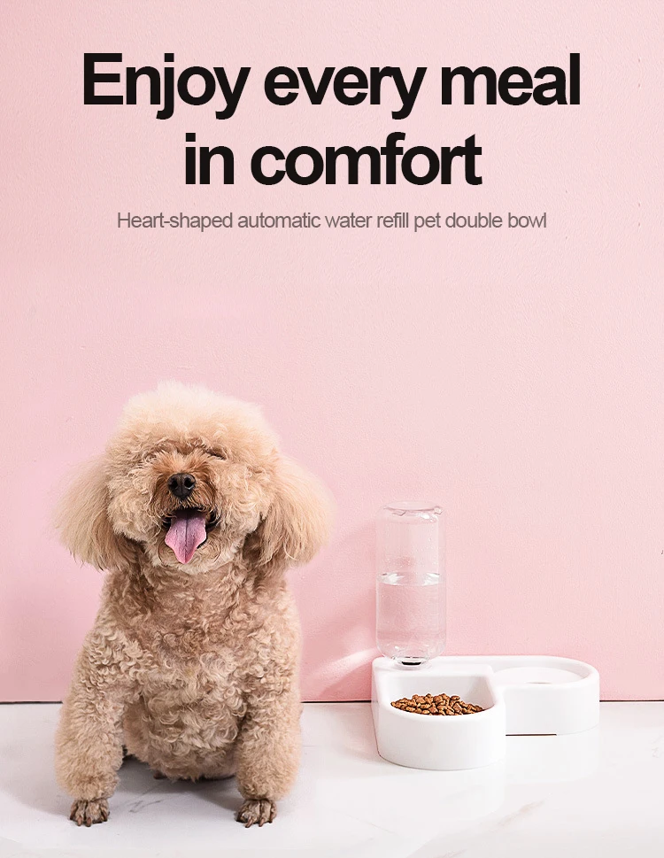 automatic dog drinkers