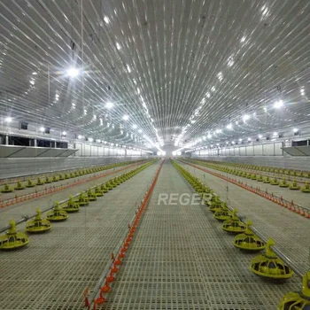 steel structure design poultry farm shed layer or darking