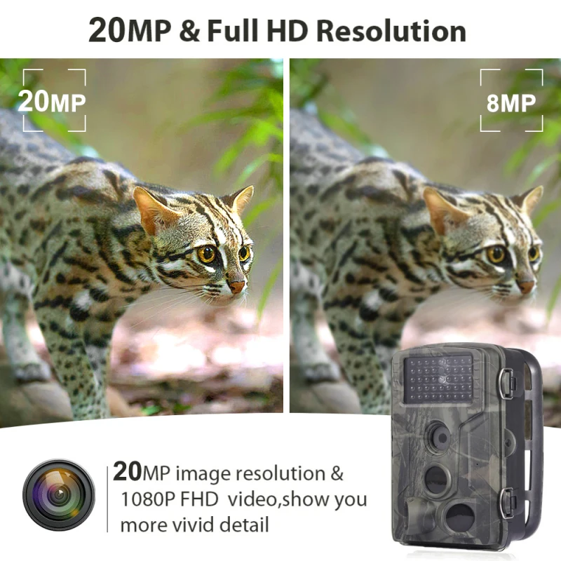 20MP 1080P Wildlife Trail Camera Photo Trap Infrared Hunting Cameras HC802A Wildlife Wireless Surveillance HD Tracking Infrared