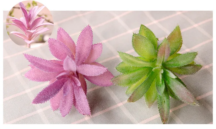 succulents (21).jpg