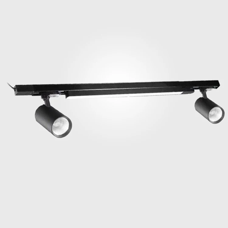 China professional supplier linear barn door dimmable led gallery track light