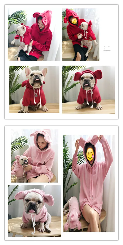 dog matched owner clothes.jpg