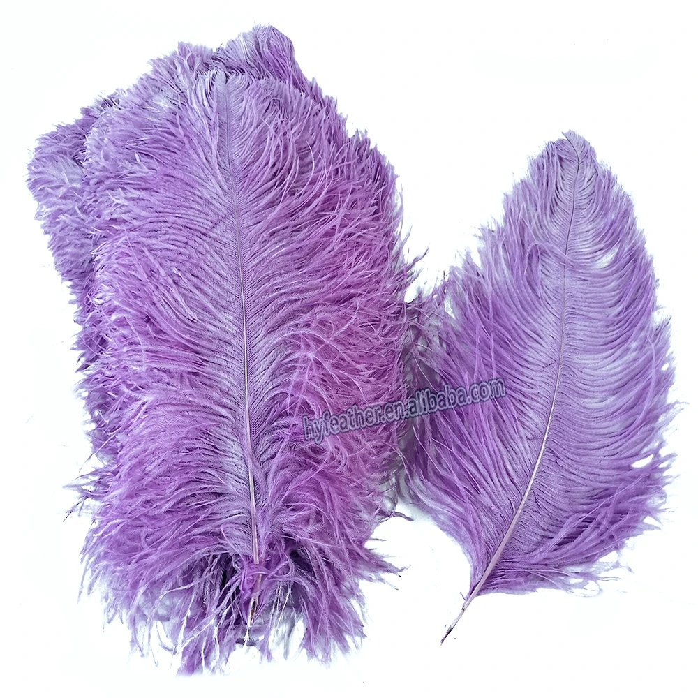 White Ostrich Wing Plumes Feather Ostrich Feather Sprime Femina Ostrich ...