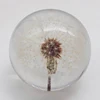 Wholesale Dandelion Paperweight - Made from a Real Dandelion