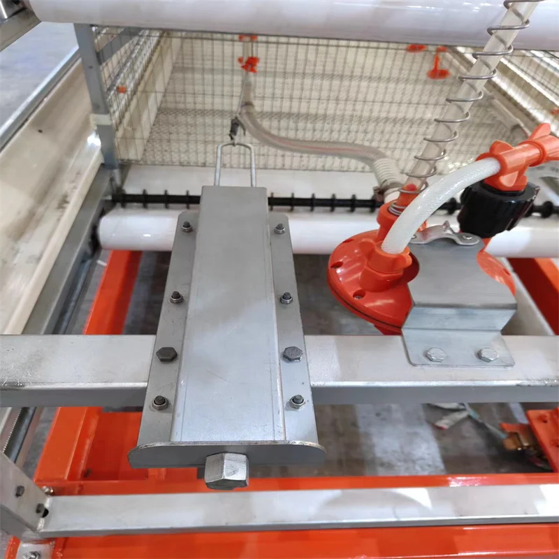 Factory Price Broiler Farming Equipment Commercial Broiler Chicken