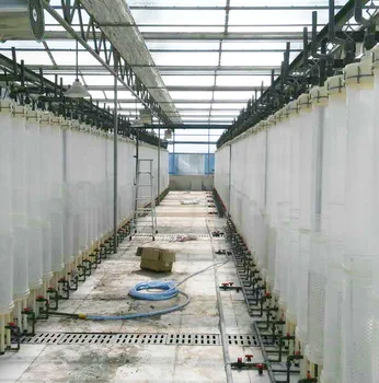 Chlorella,Micro Algae,Algae Culture,Algae Culture System ...