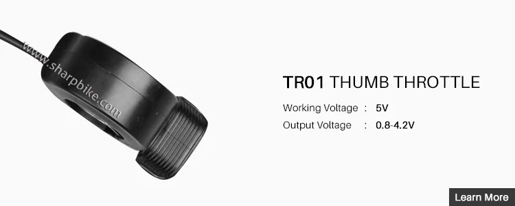 Details TR01.jpg
