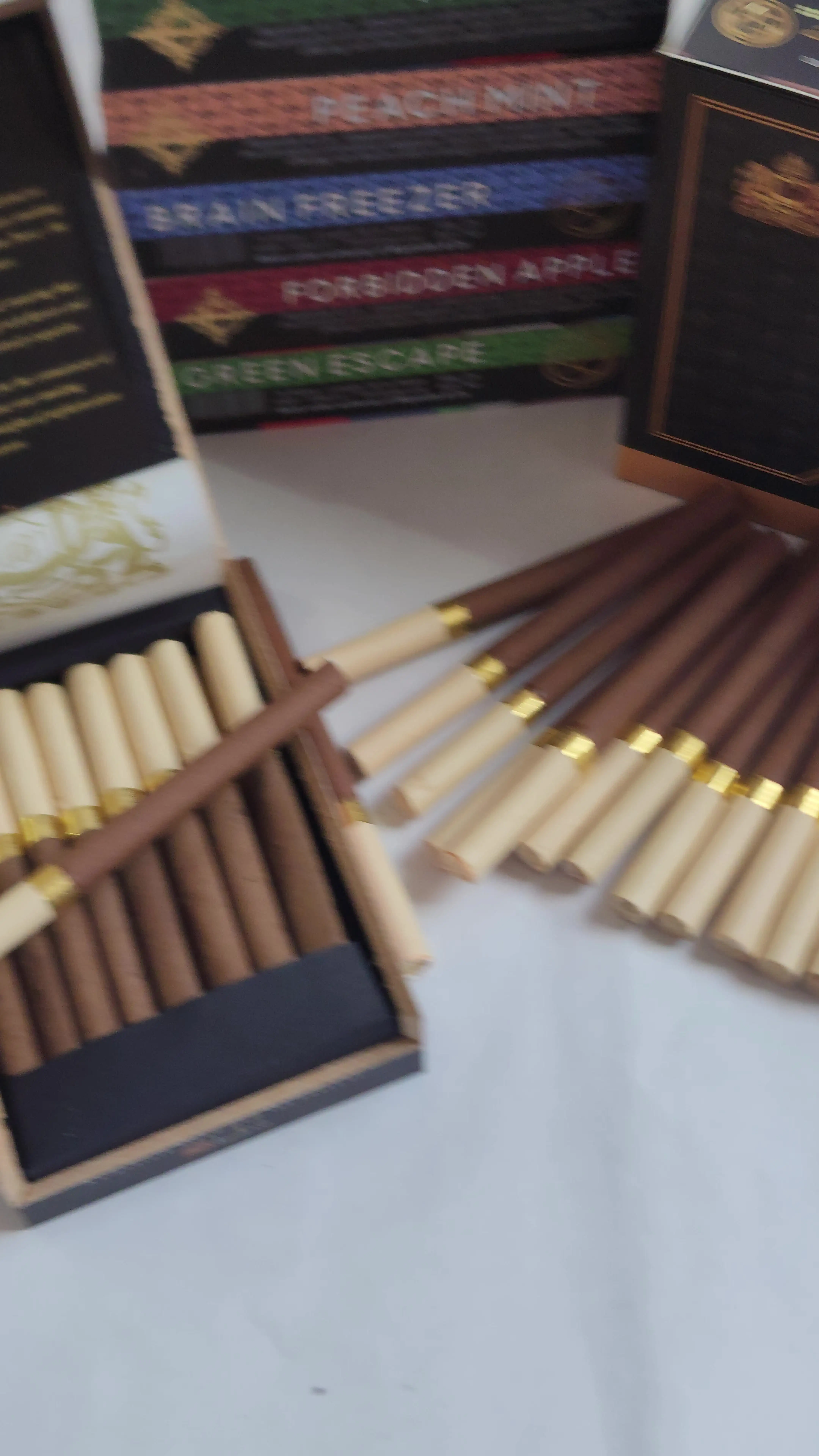 what is a tobacco beetle Cigarette Beetle Control & Treatment | Pest Library