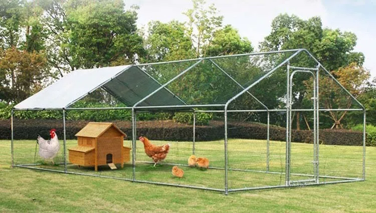 Large Metal Cages Chicken Run Coop Walk In Enclosure Rabbit Ducks Hen ...