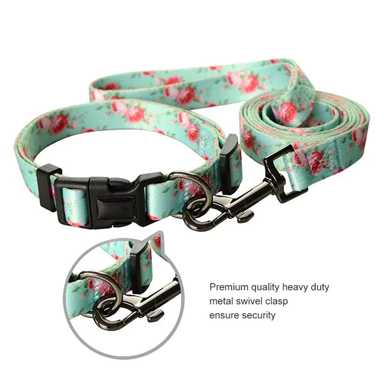 Pet Collar-70