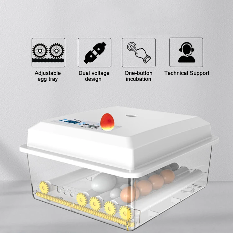 16egg incubator-16.jpg