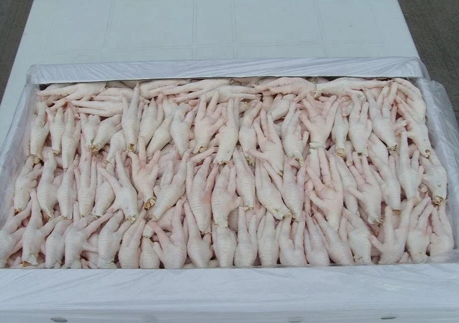 
Frozen Chicken Feet/Paws Export to China, Vietnam, Japan, Thailand 