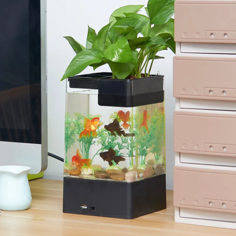 塑料迷你鱼缸aquaponics生态系统小水花园水族馆透明