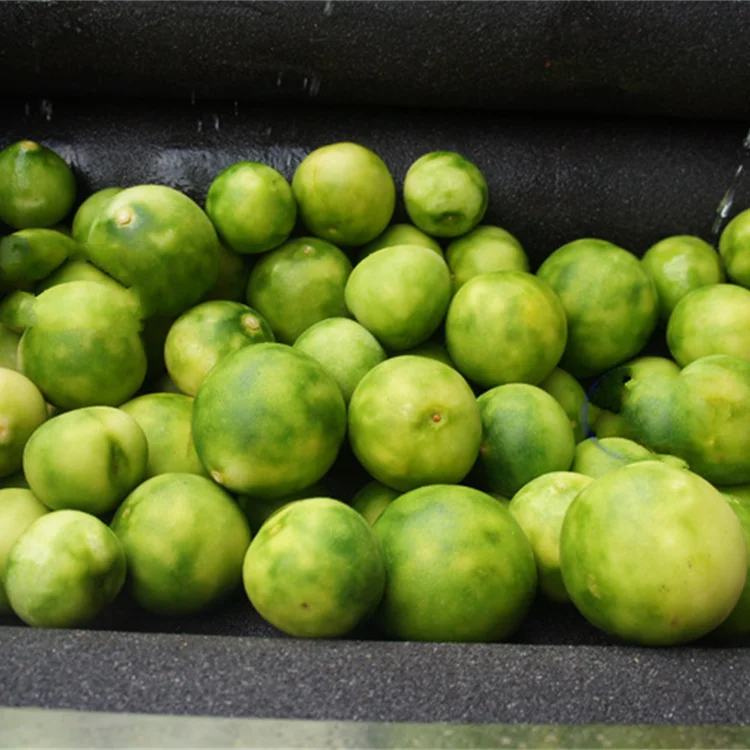 cleaning peeling machine6.png