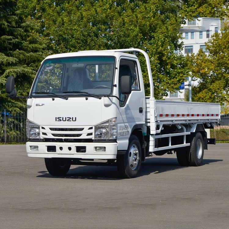 Brand New Isuzu 100p 2-4t 4x2 130hp Van Truck 5ton Light Cargo 
