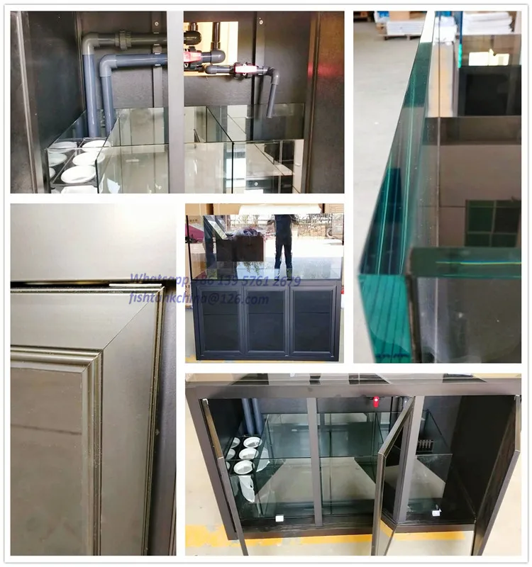 Salty Water Aquarium3_.jpg