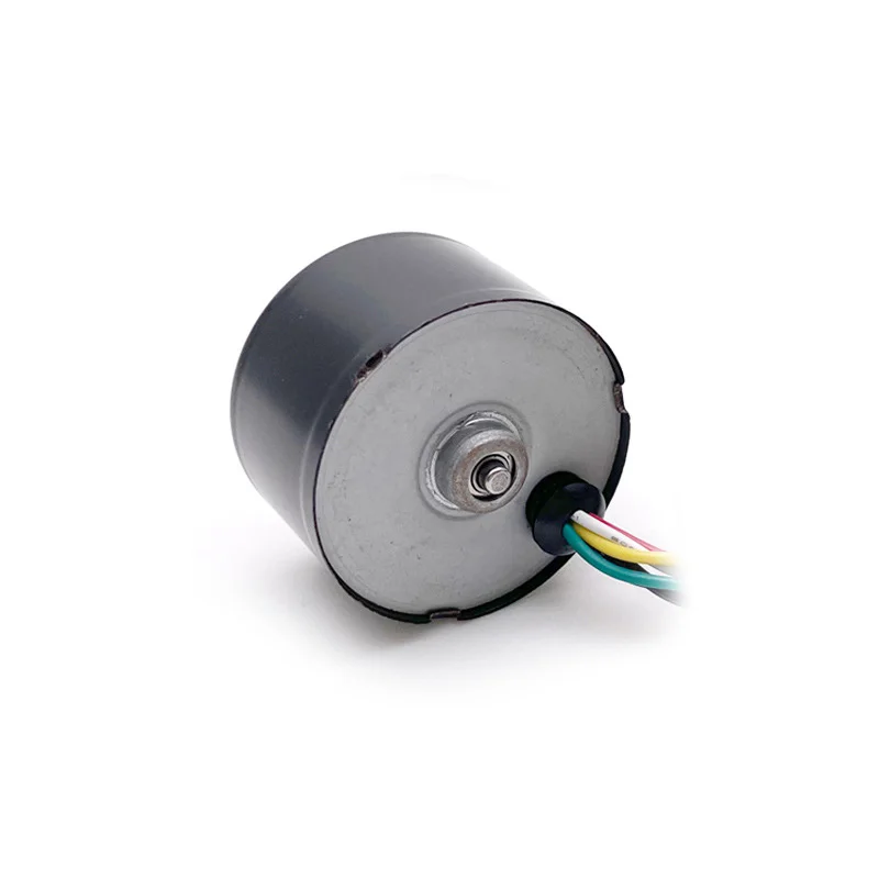 Bldc Motor 24v 12v Small Engine 36mm Mw3625 High Power High Speed Rpm ...