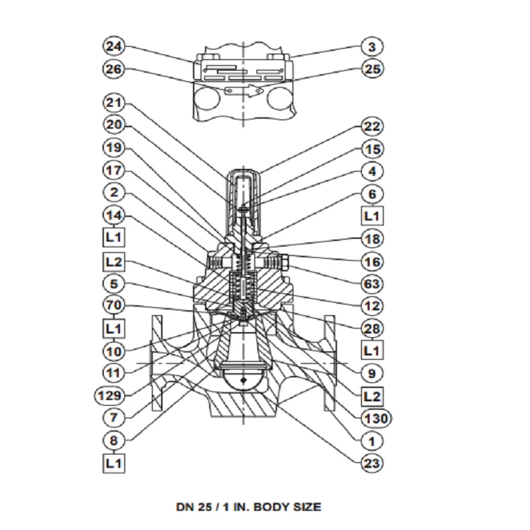  LR125  low digital Pressure Reducing Liquid Regulator  pressure reducing regulator is designed for liquid applications 
