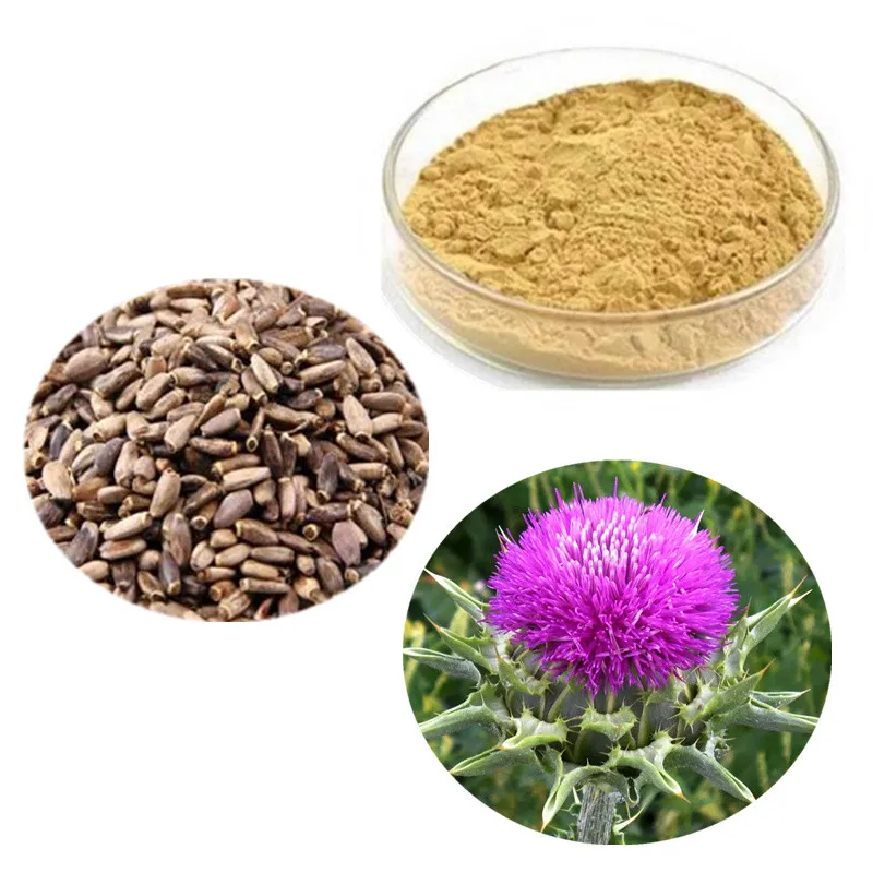 milk thistle tablet.jpg
