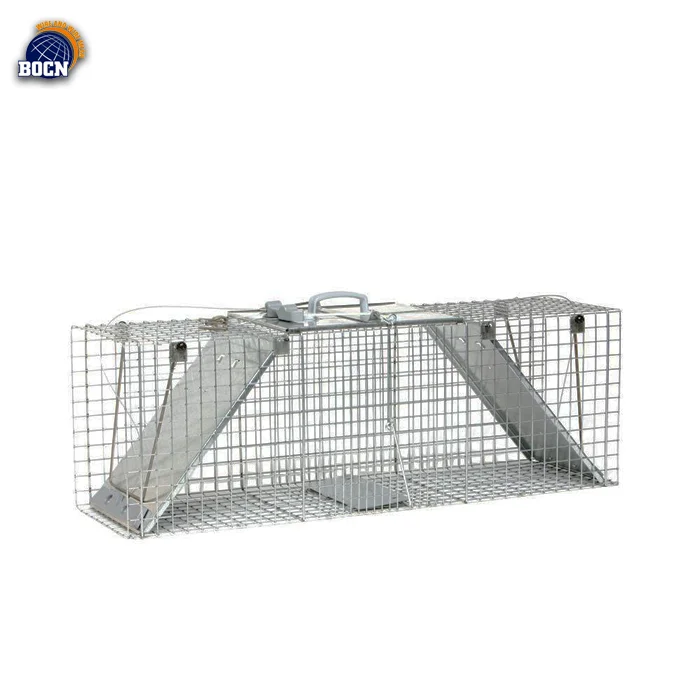 buy large rat cage